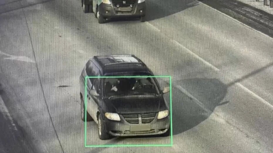    Автор фото: t.me/gibdd36