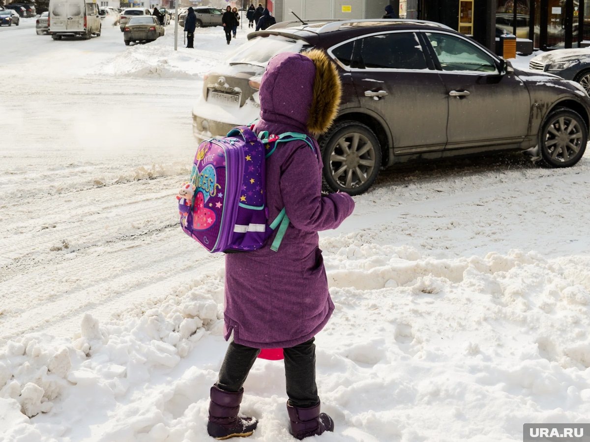     21 января младшеклассники, вероятно, останутся дома