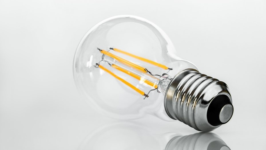 Автор фото: PhotOleh/shutterstock.com