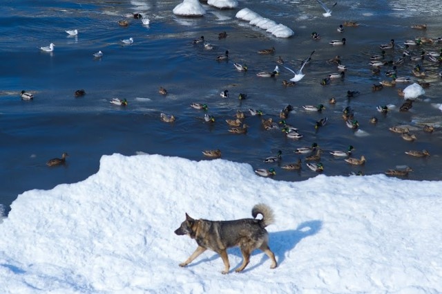   Фото из архива Калининград.Ru