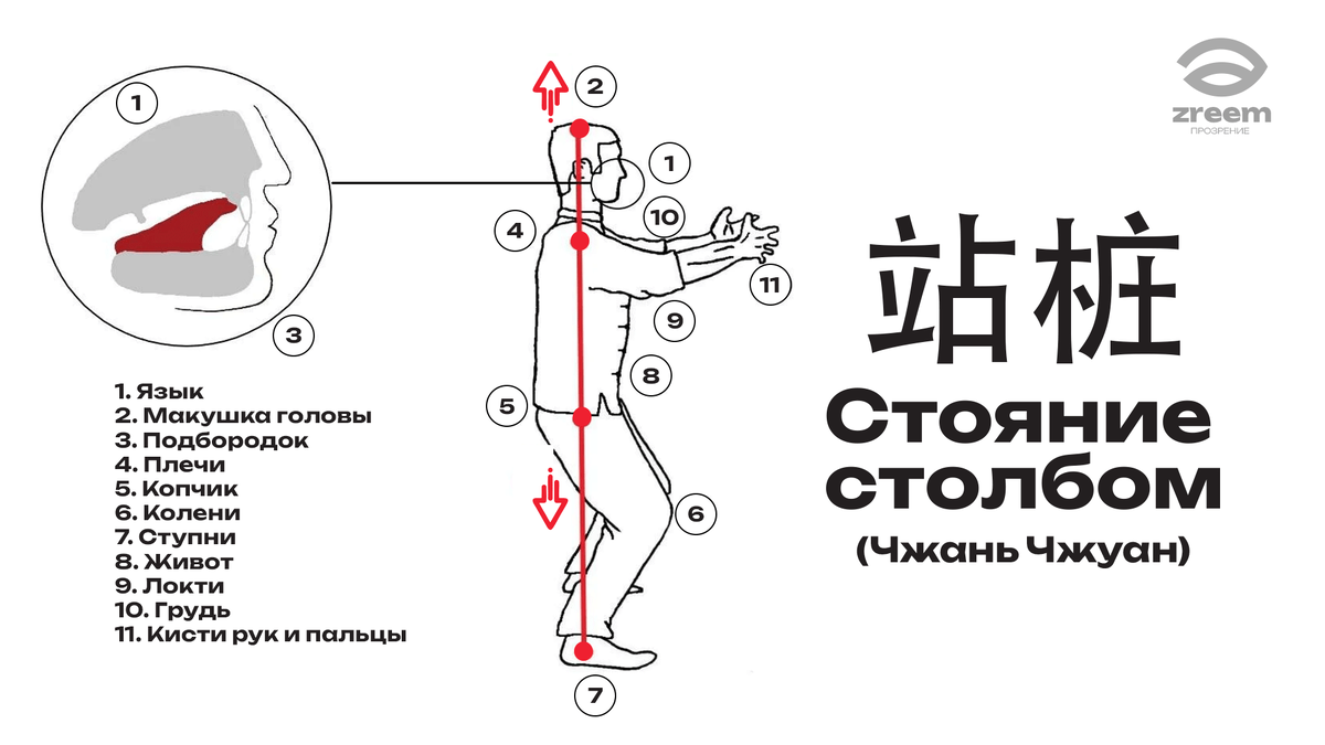 «Стояние столбом» 站桩 (Чжань Чжуан): Базовая стойка для заземления.