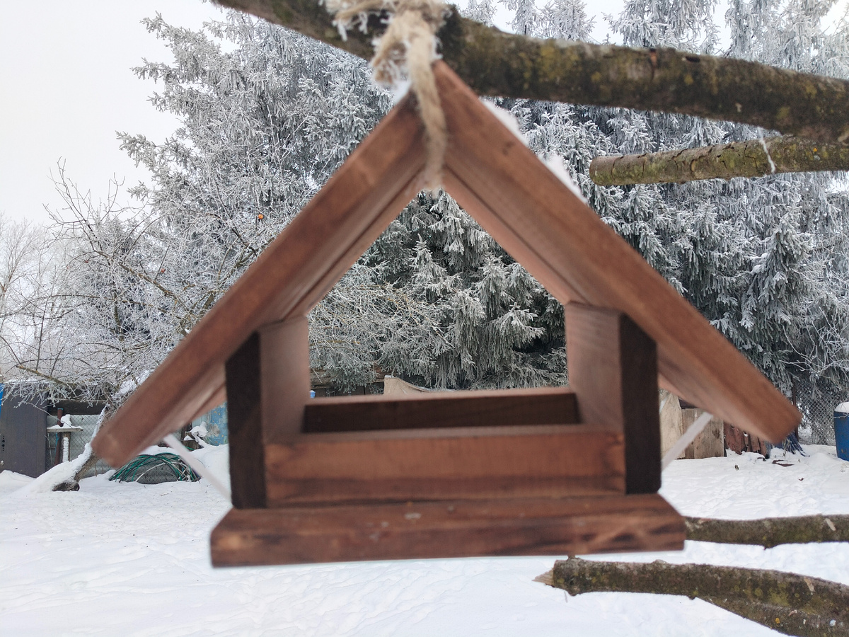 Кормушка для птиц