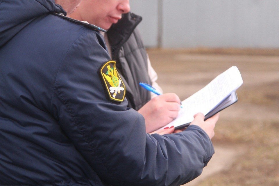    Фото: ГУФССП России по Красноярскому краю