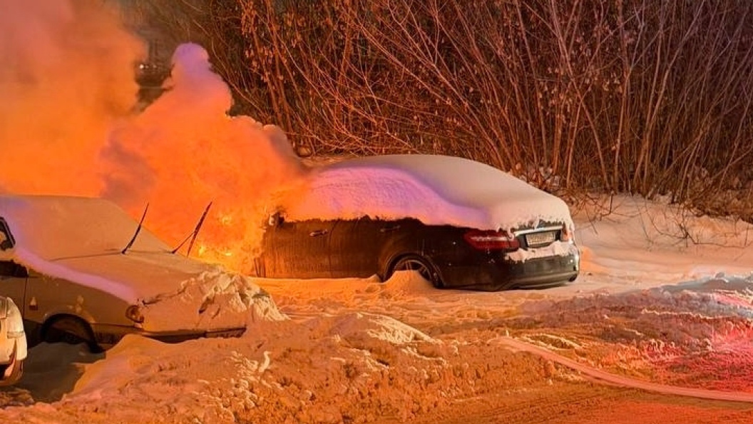    Фото: ГУ МВД России по Челябинской области.