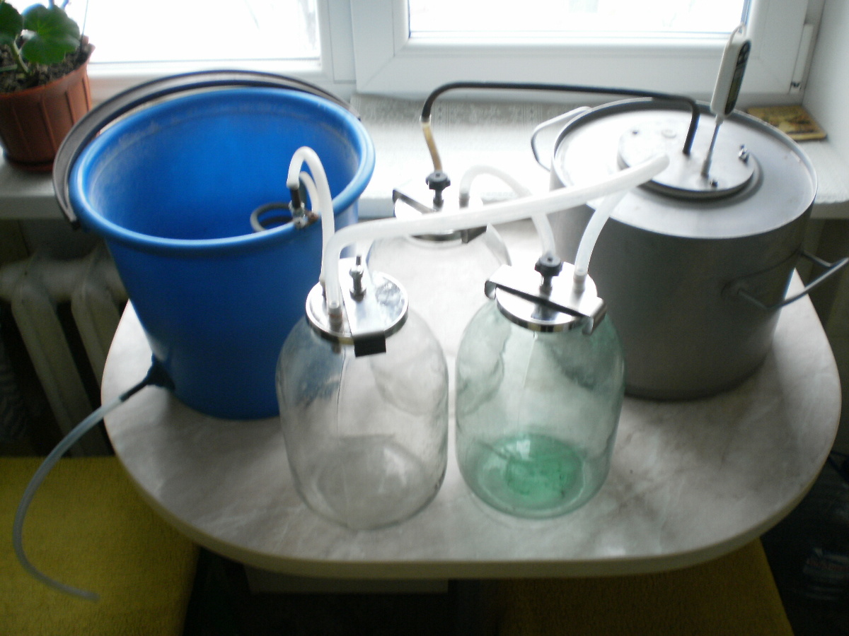 фото автора статьи