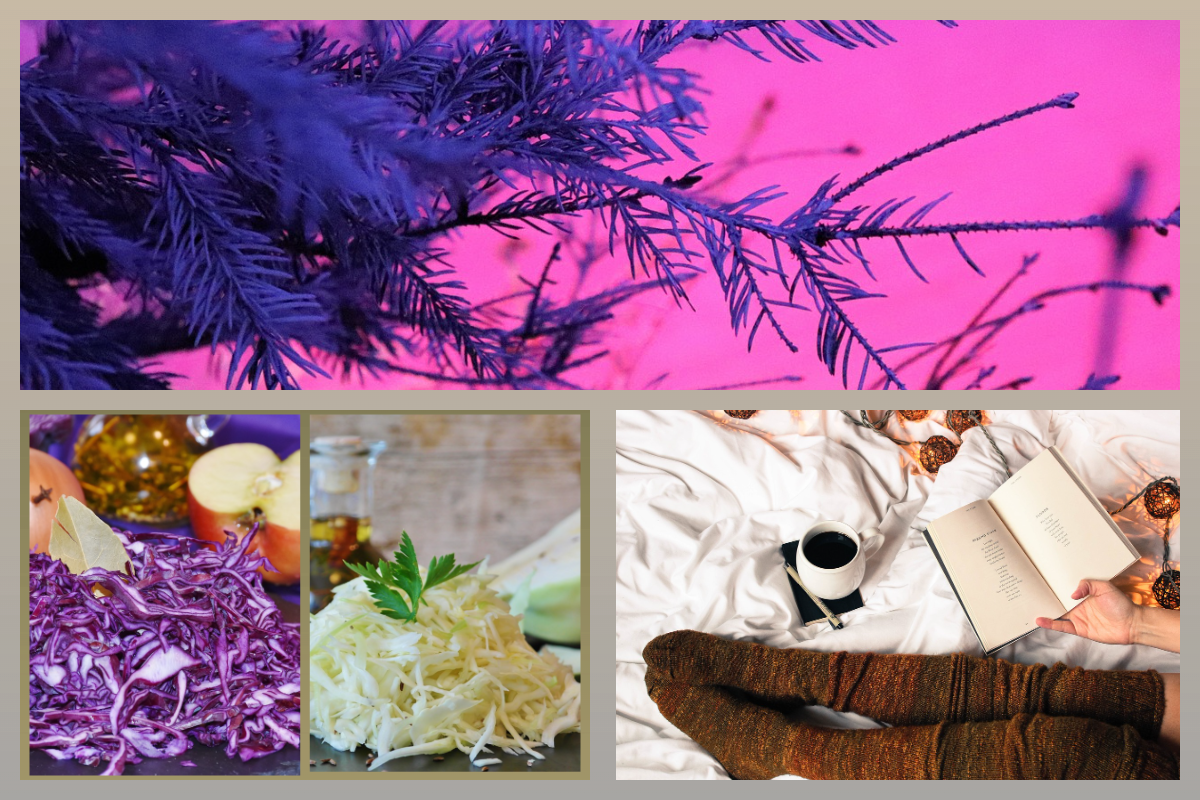 3-й лунный день - можно солить капусту, начинать новые дела, делать стрижку и не только