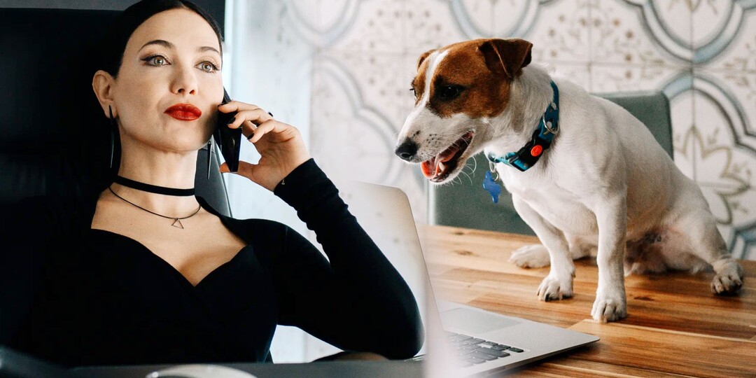 5 лучших российских сериалов января 2026 года