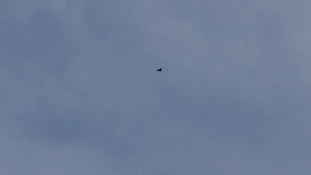    Фото: «Брянские новости»