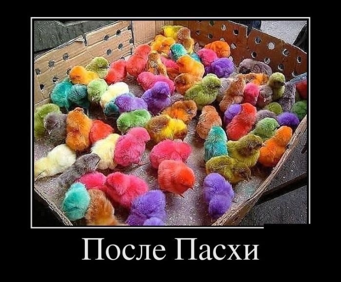 Смех из социальных сетей! Забавные шутки, забавные случаи и веселые рассказы. Фото взято из общедоступных ресурсов соцсетей.