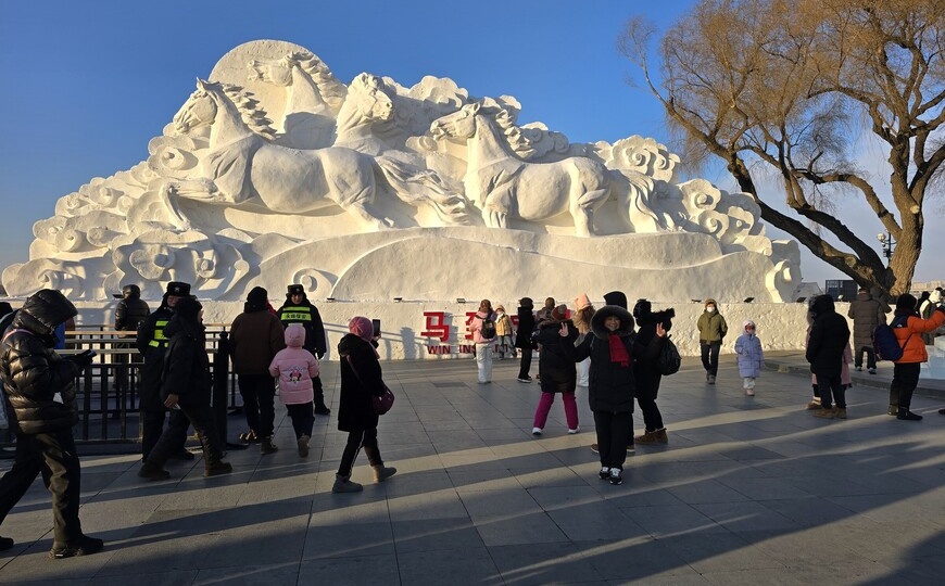 Харбин зимой: фестиваль снега и льда. Стоит ли ехать — отзыв туриста с фото