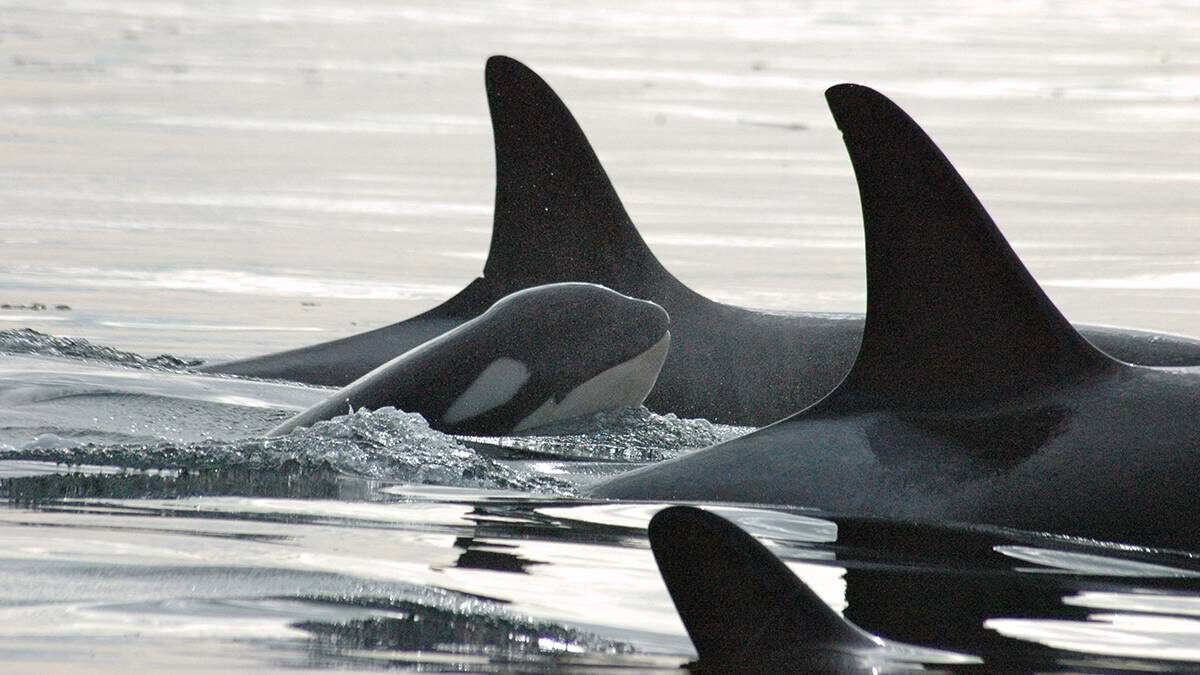    Фото: Shutterstock