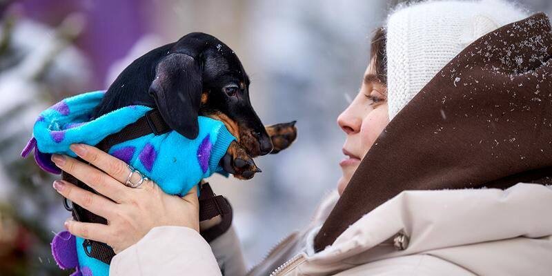 В «Моспитомце» появился новый полезный раздел