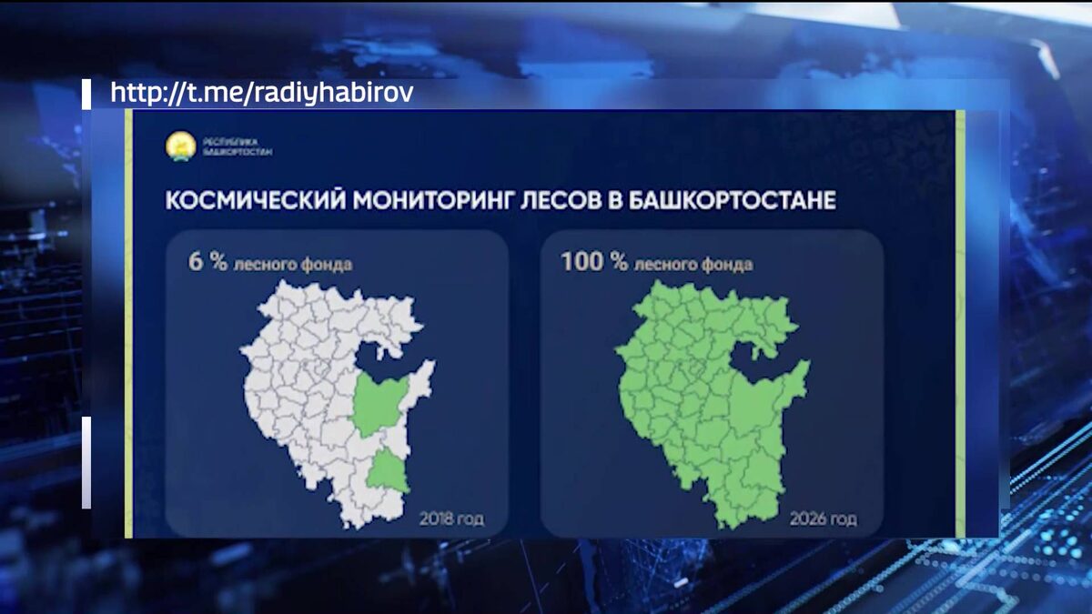    Радий Хабиров рассказал о космическом мониторинге лесов Башкортостана