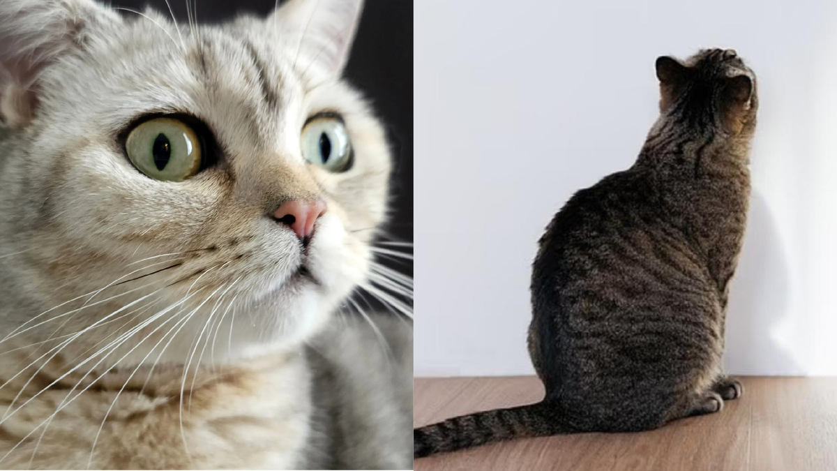 Спать нельзя