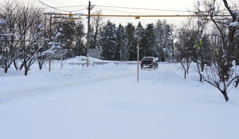 Фото автора. 18.01.2026. Станица.