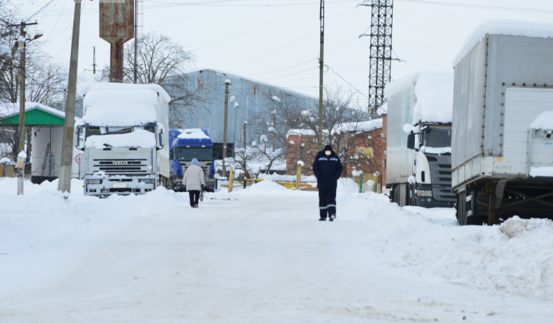 Фото автора. 18.01.2026. Станица.