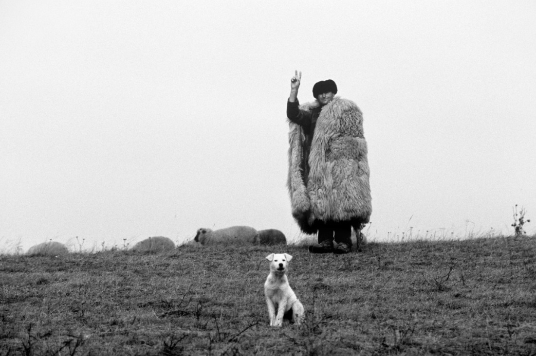 Фото из Pinterest