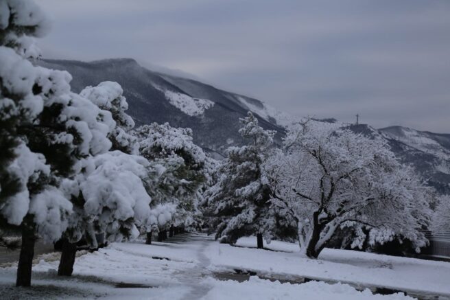    Фото: пресс-служба администрации Геленджика