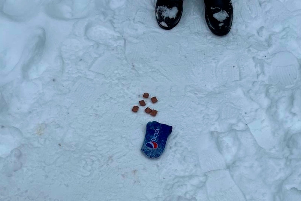    Подозрительного человека полицейские заметили в Заречье: озираясь, он положил что-то в снег и начал фотографировать, когда заметил наряд