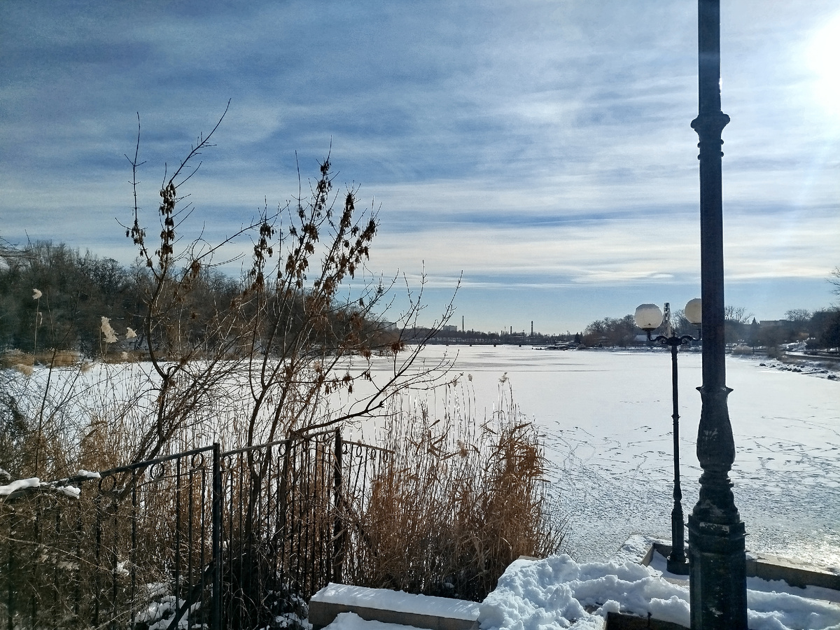 Первый городской пруд. Вид с площадки возле родничка.