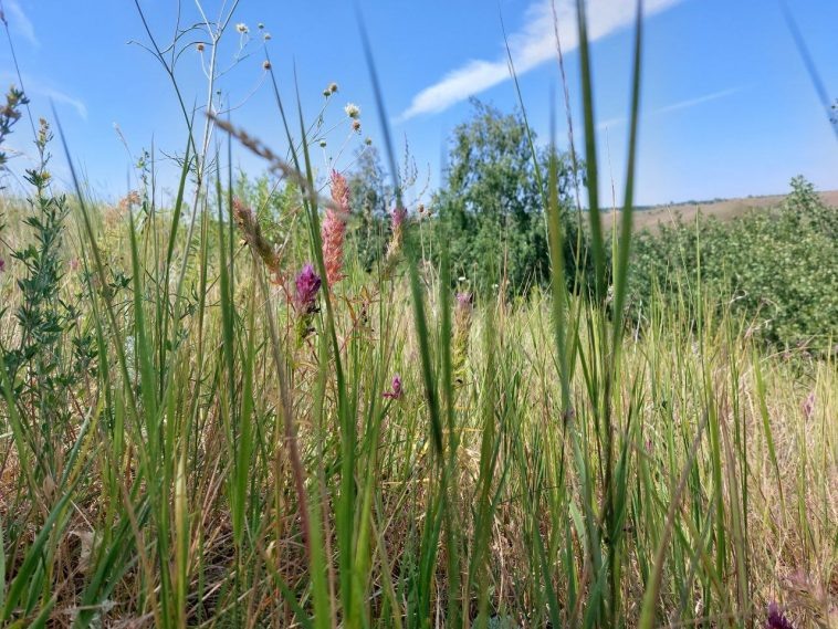 Фото: администрация Волгоградской области