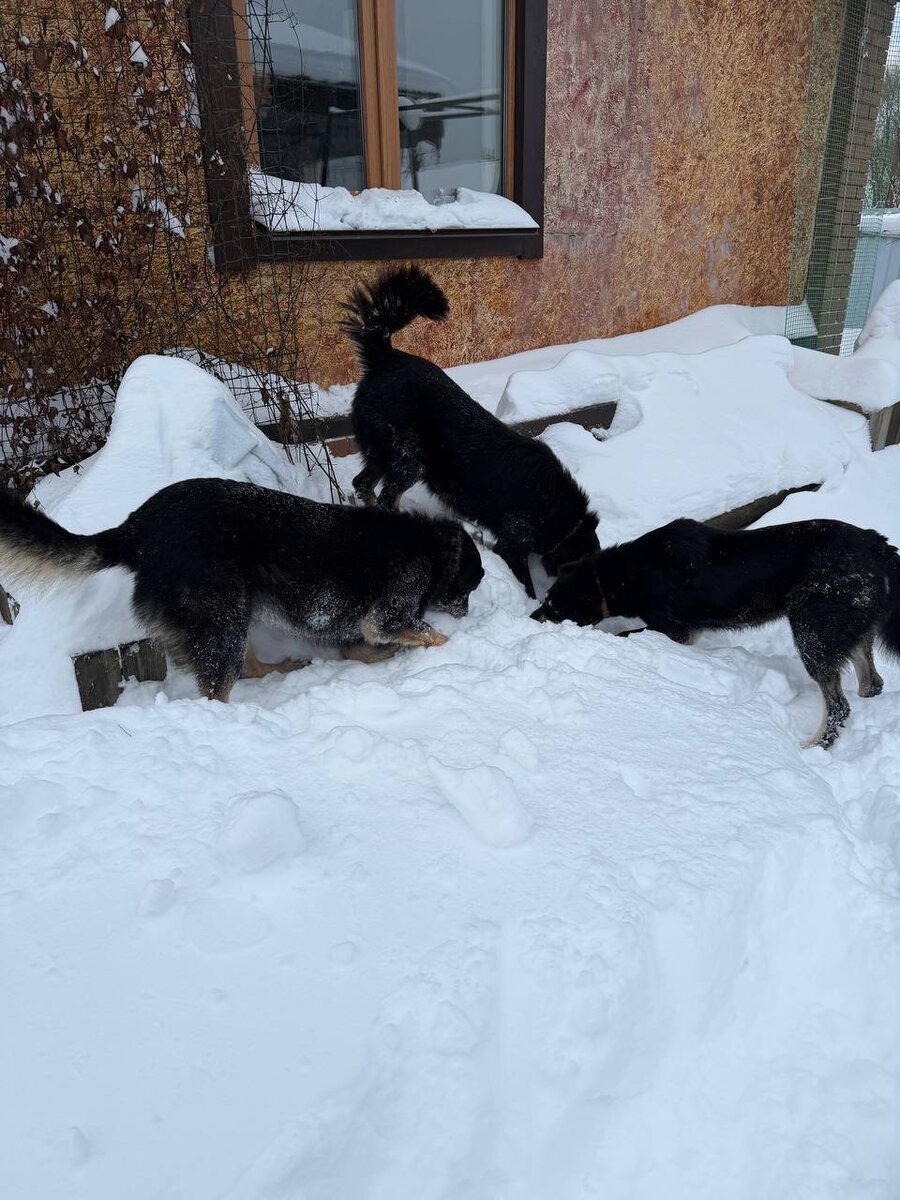 Уйди, Катя, мы заняты!