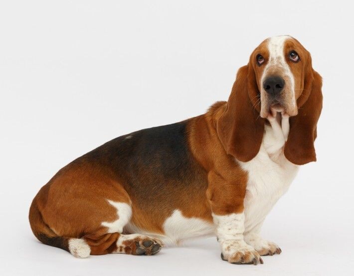 источник фото: https://i.pinimg.com/736x/aa/0d/b9/aa0db9f4cb11e73a41181f1a7c9699f7.jpg