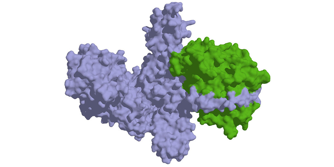 Самое токсичное природное химическое вещество — в подборке интересных фактов