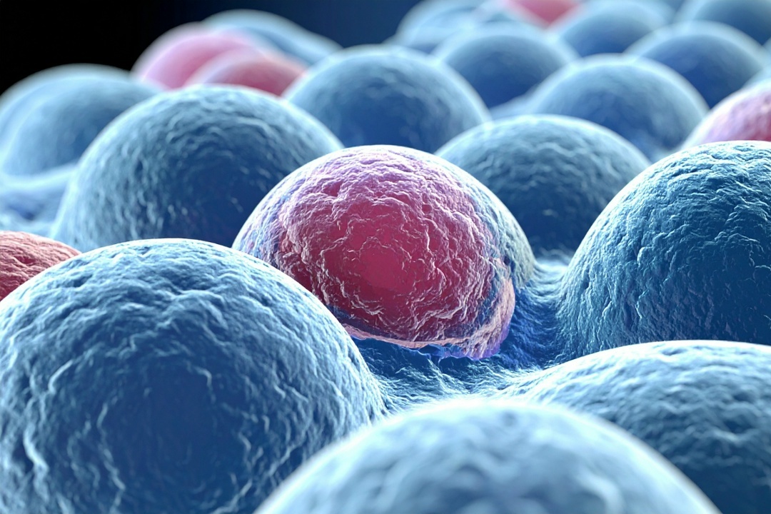 Создать карусель