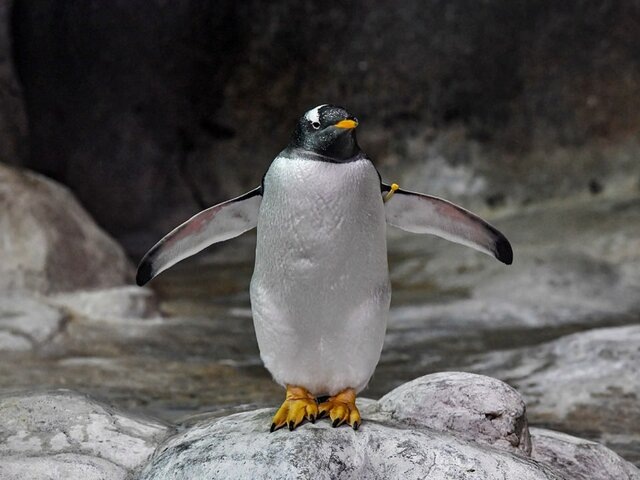    Фото: портал мэра и правительства Москвы/Юлия Иванко