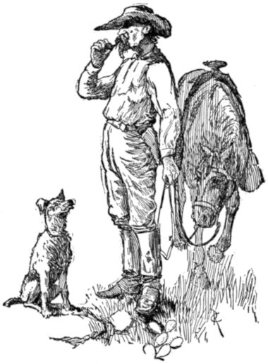 Уол Хендерсон, оригинальная иллюстрация Генри Инмана, автора рассказа