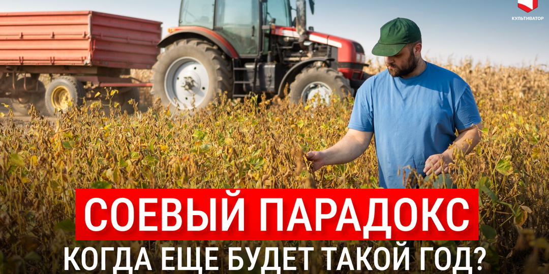 Аномальный год и «соевый парадокс»: как рынок адаптируется к рекордам