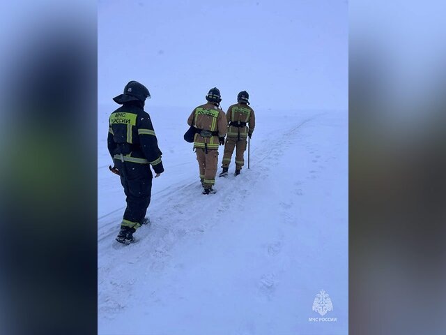    Фото: телеграм-канал "МЧС Санкт-Петербурга"