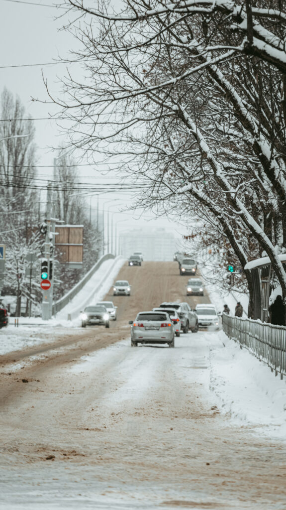    Фото: Эльвира Мясищева, «КИ»