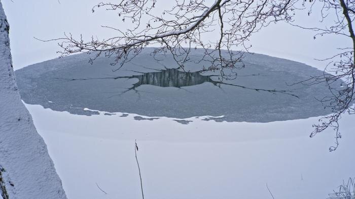 Обложка © Shutterstock / FOTODOM / moomin201