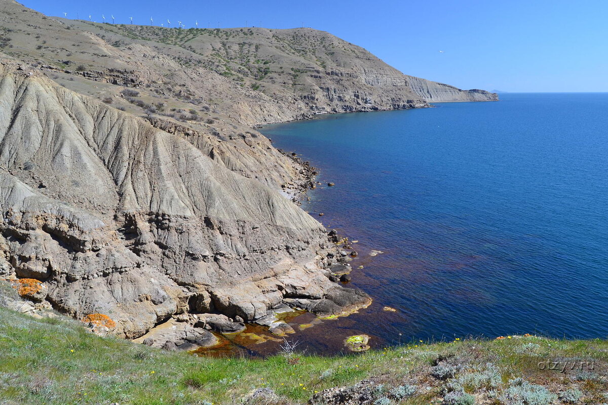 Фото из отчёта