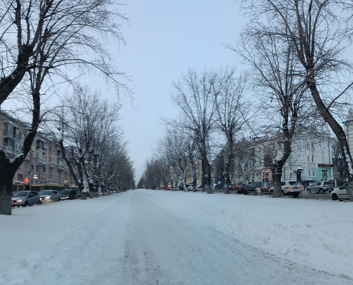 Где-то на просторах моего города. Фотография автора, январь 2026 года. Потеплело и вновь в дело вступает камера смартфона. 