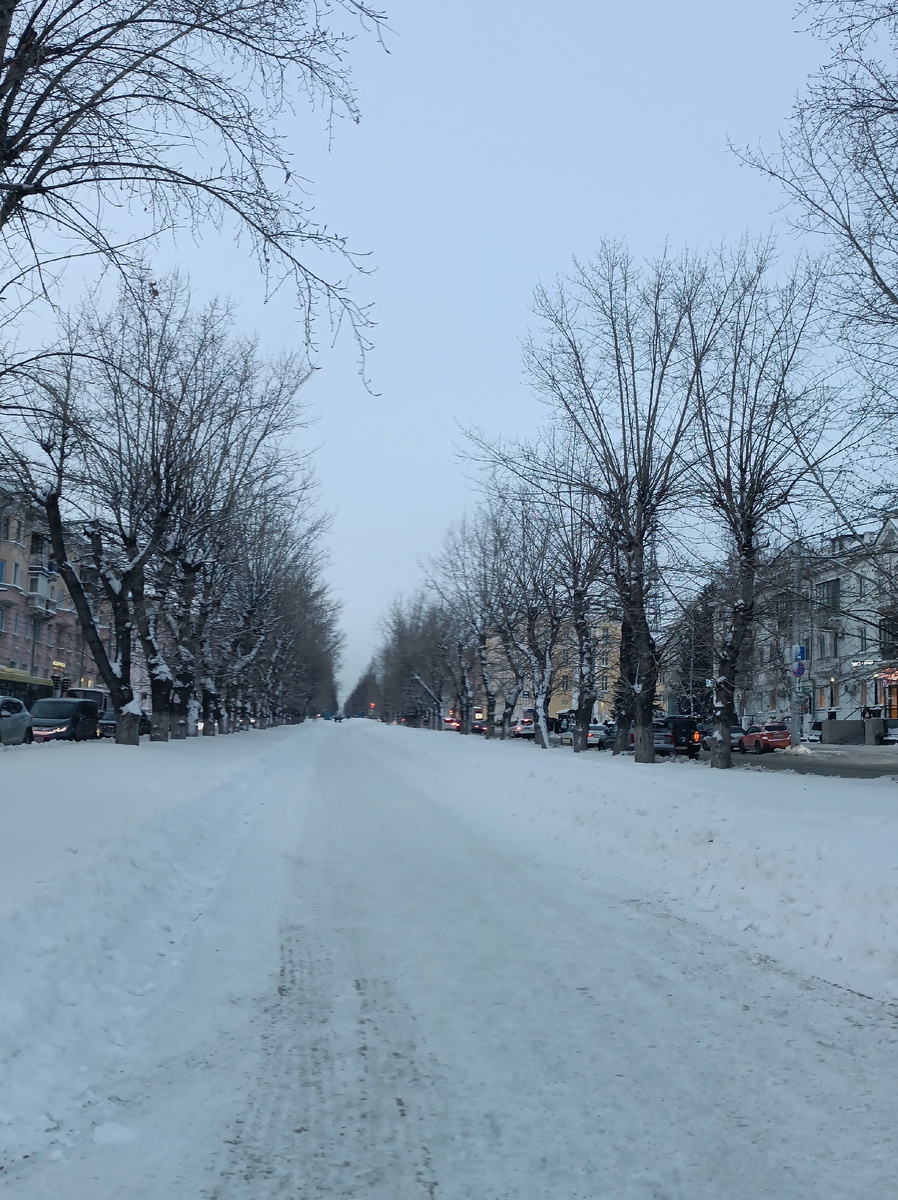 Где-то на просторах моего города. Фотография автора, январь 2026 года. 