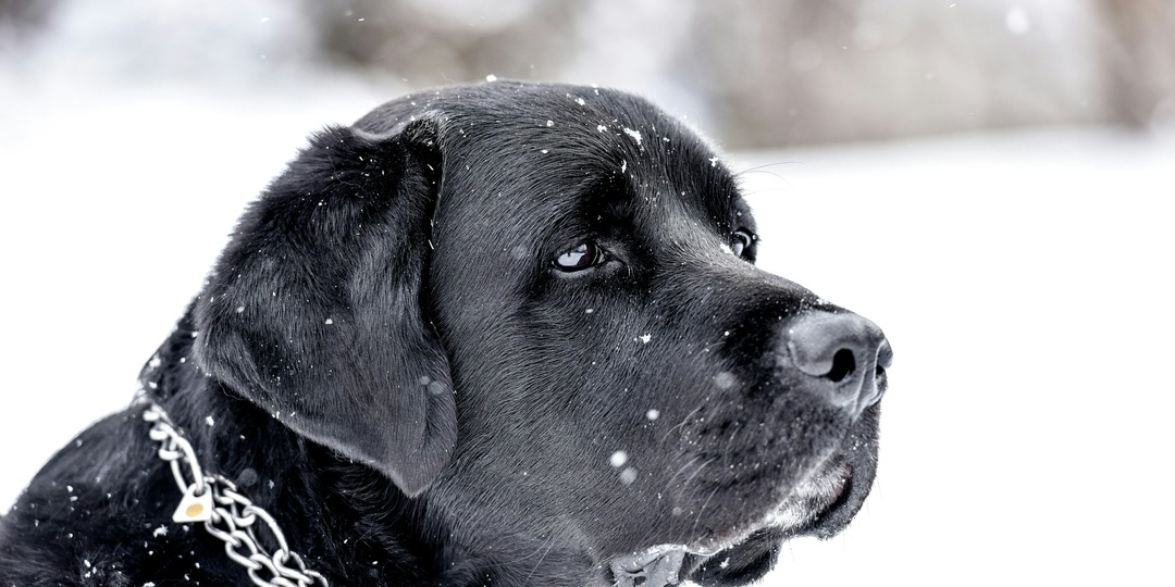 Для чего теперь жить