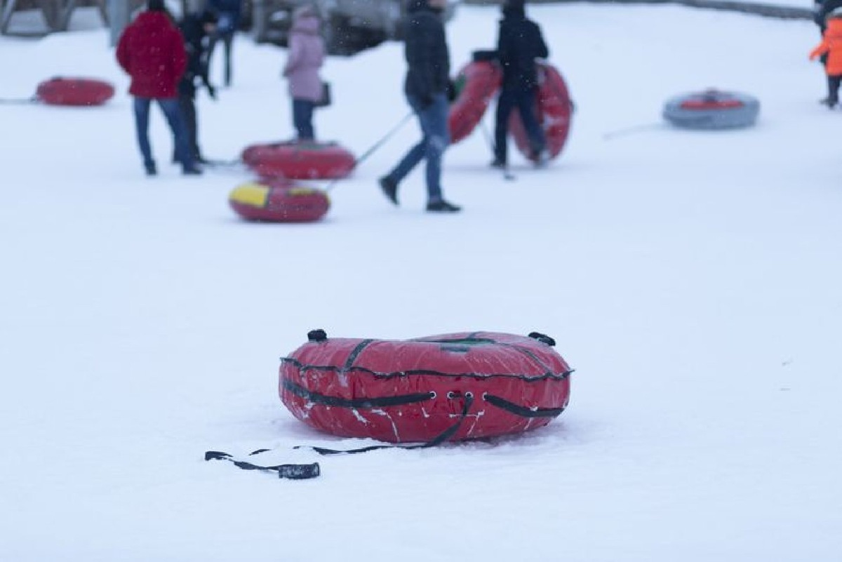   Фото: iStock/Aleksandr Potashev