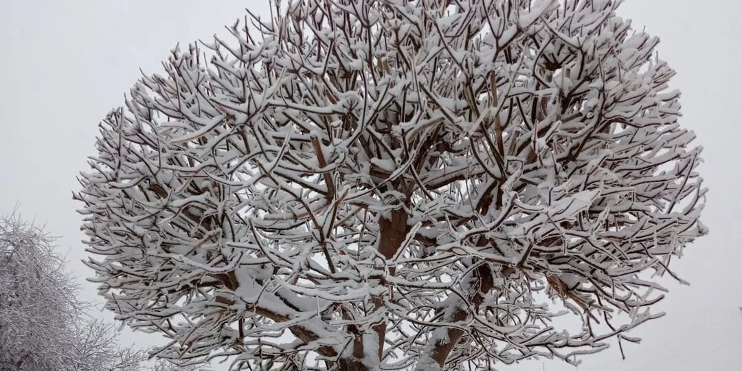 Погода в Стерлитамаке на среду, 21 января 2026 года