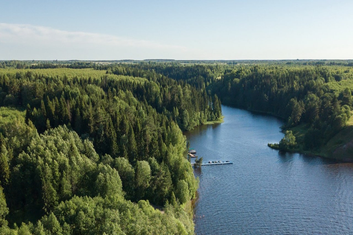    Фото: правительство Ивановской области, источник: t.me/ivanovoobl