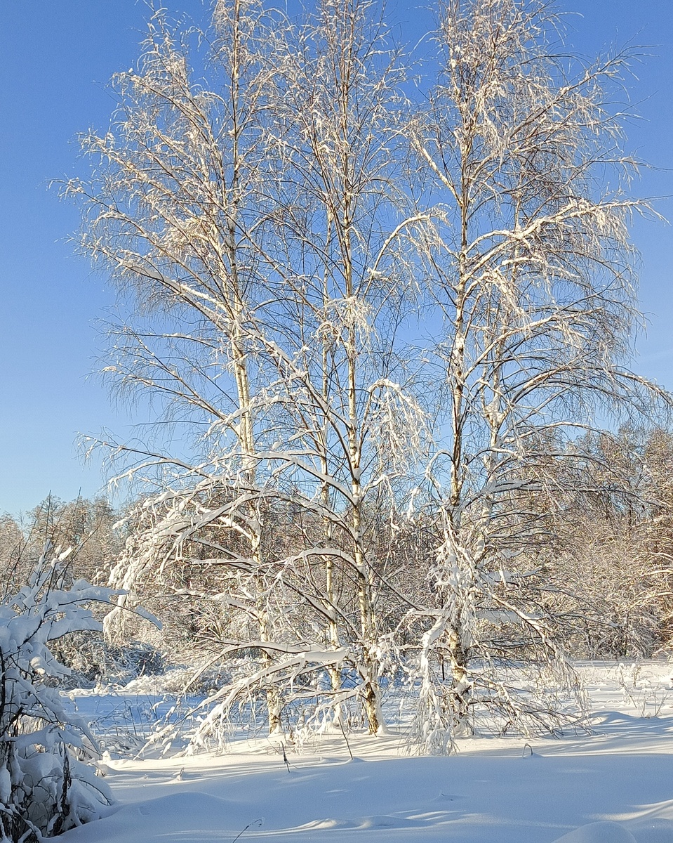 Фото автора статьи