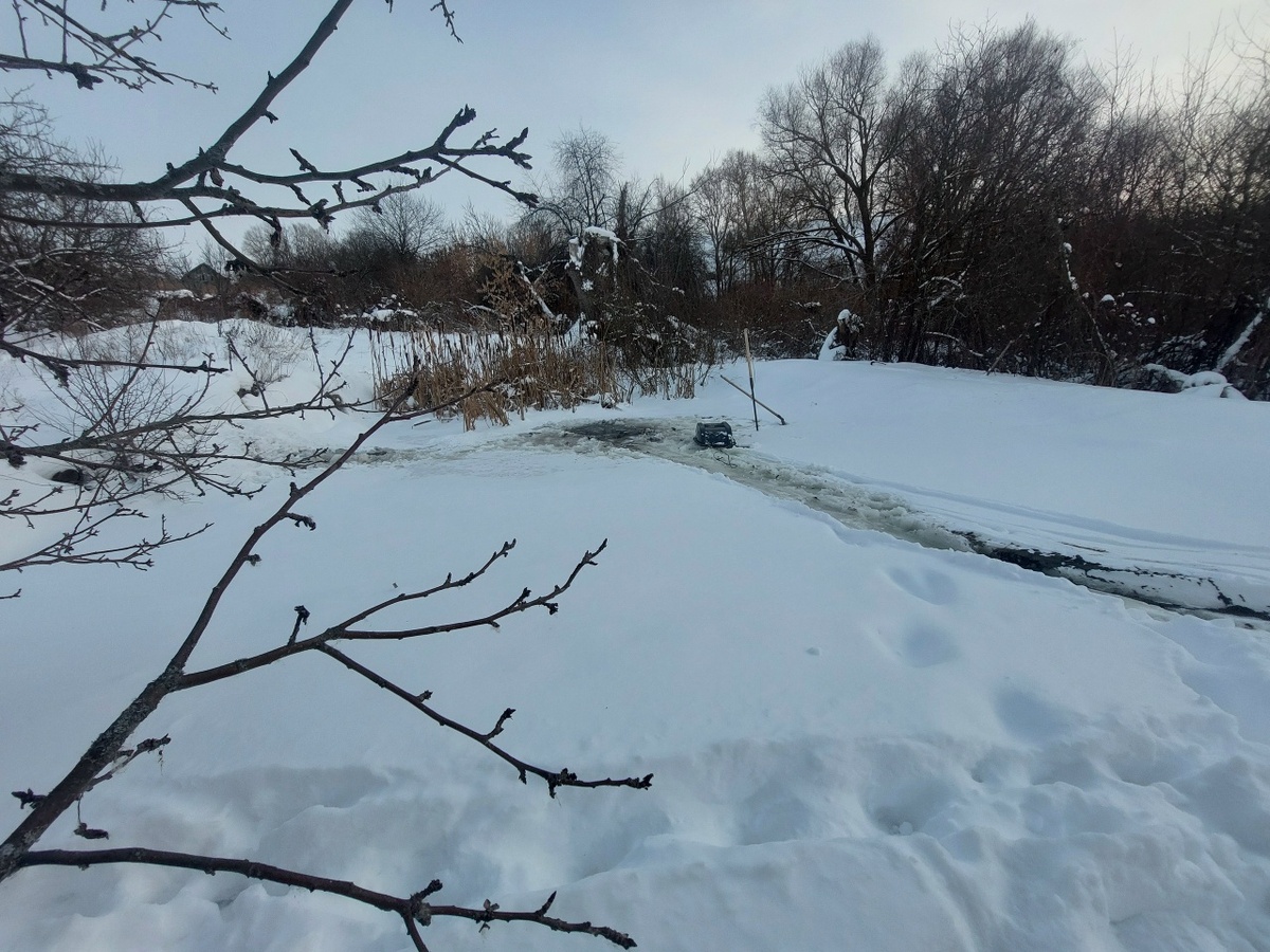 Пруд в саду. Фото автора