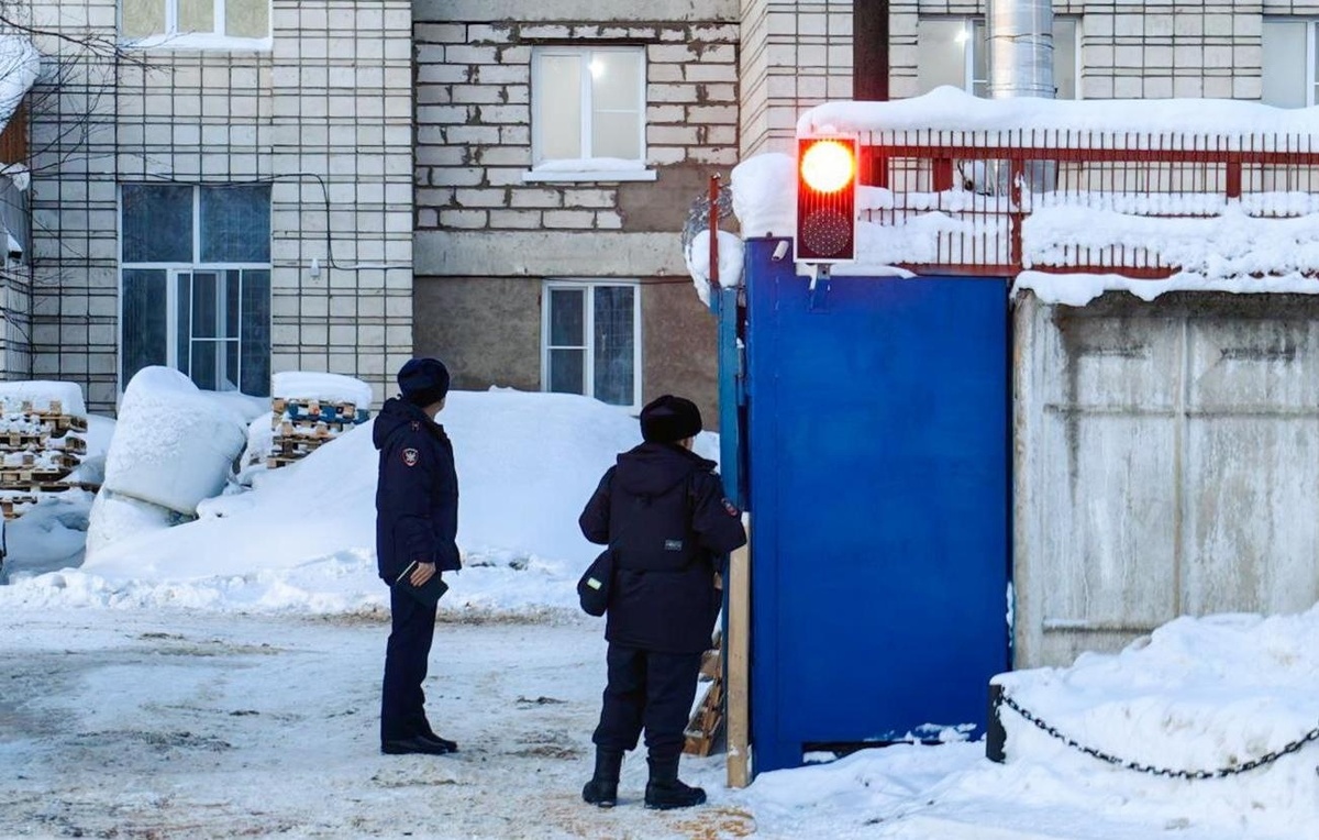 Наталия Казаковцева/ ТАСС