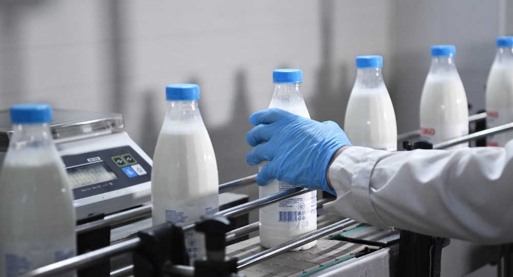 В России ужесточается борьба с молочным фальсификатом. С какими вызовами столкнется рынок в 2026 году