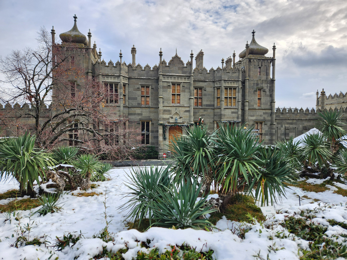 Воронцовский дворец в январе 2026