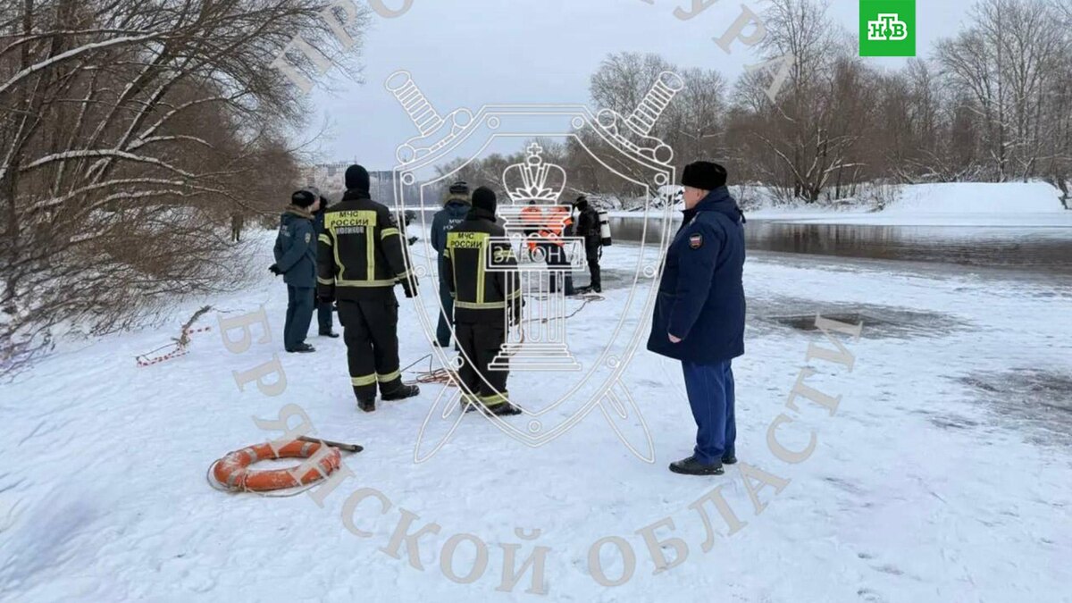    Фото: brprok32 / t.me