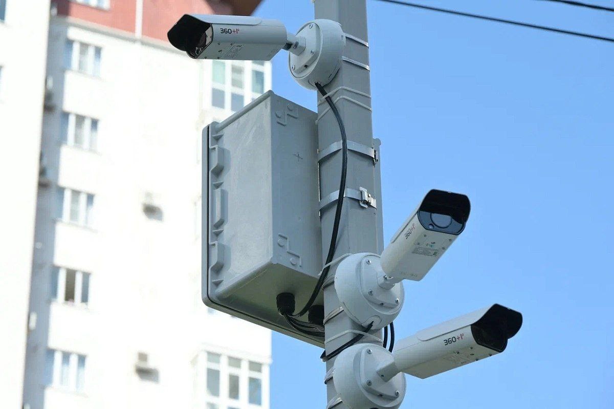 Фото: Telegram/Сочи Официальный  📷
