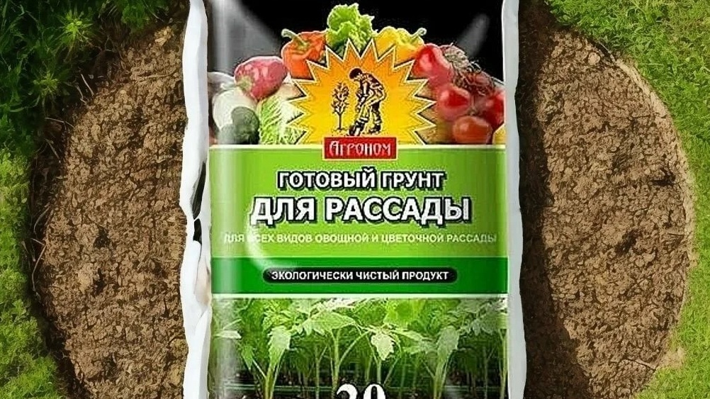 Грунт для рассады